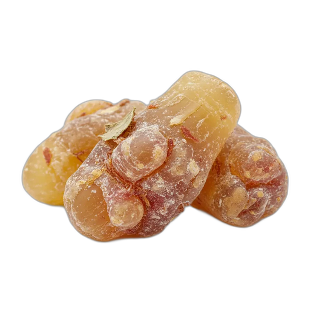 Boswellia serrata — extracto natural conocido por sus cualidades únicas.
